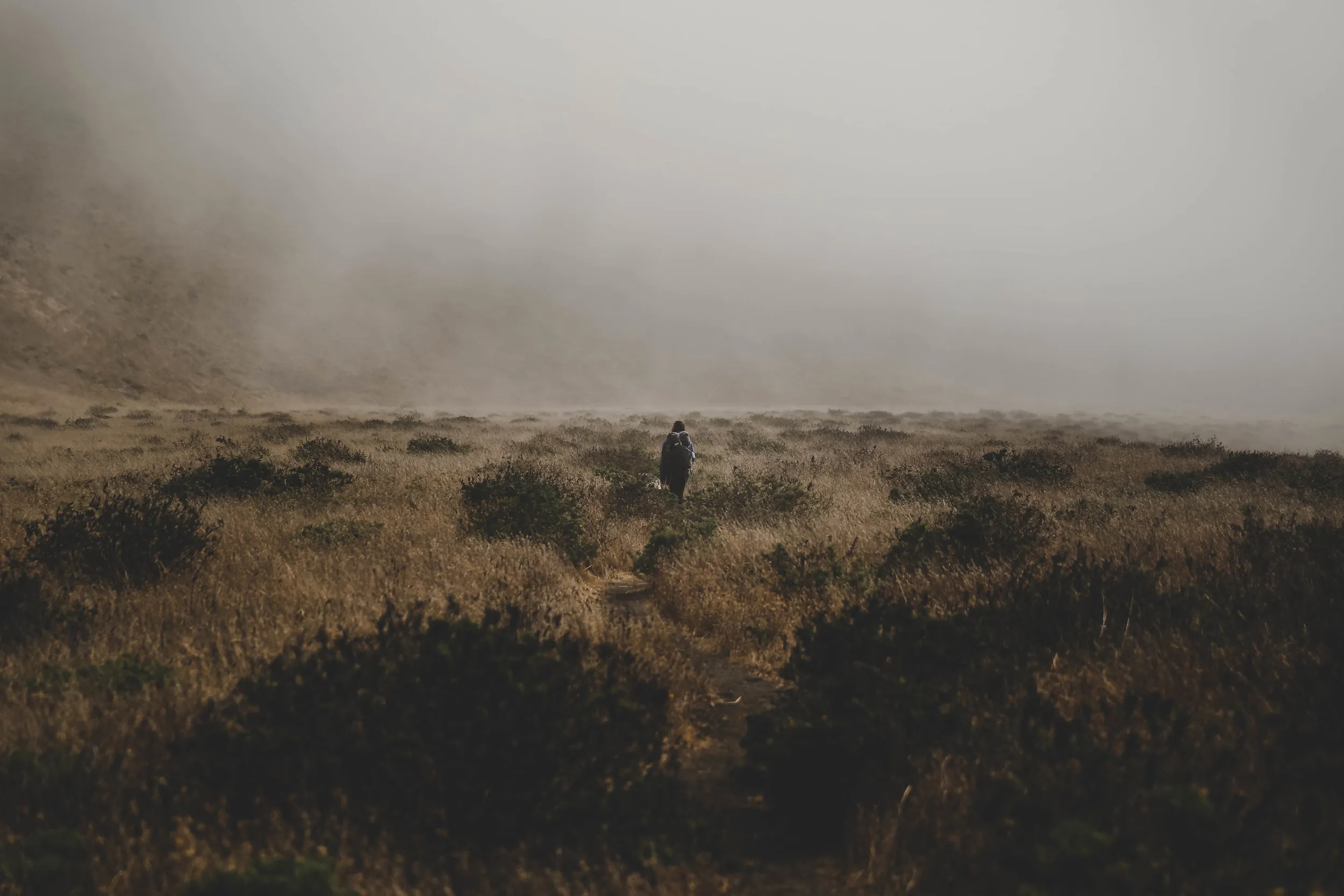 Lost Coast Trail – California